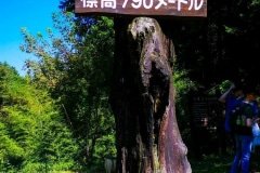 Am-Magome-Pass-9