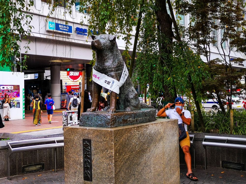 Hachicko in Shibuja Tokio 