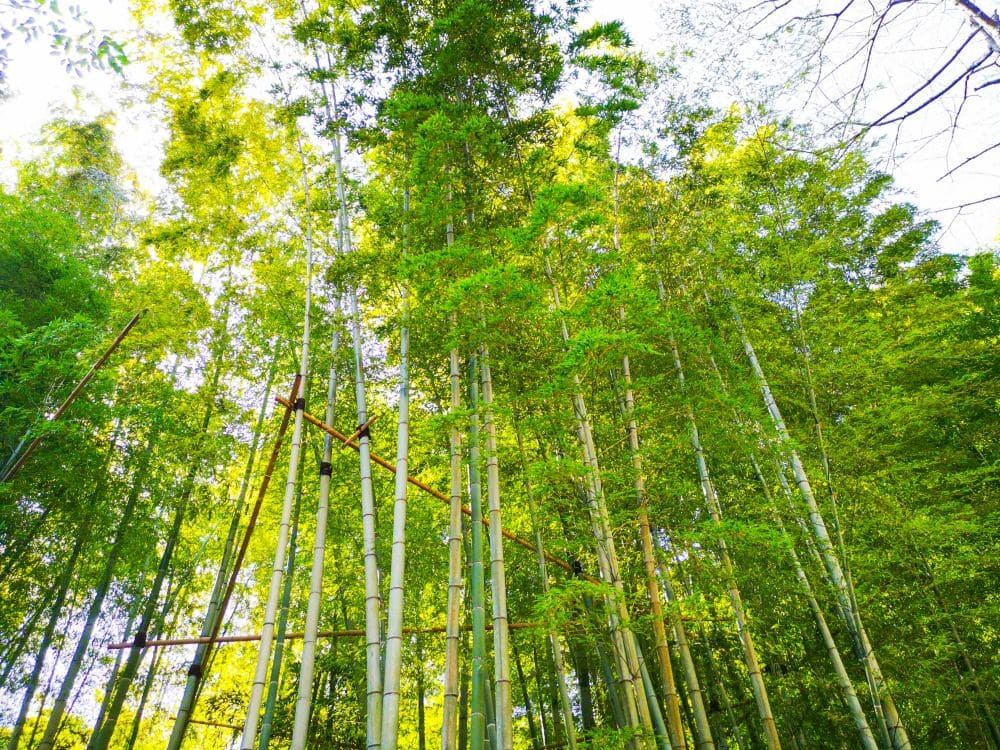 Unterwegs in Kamakura