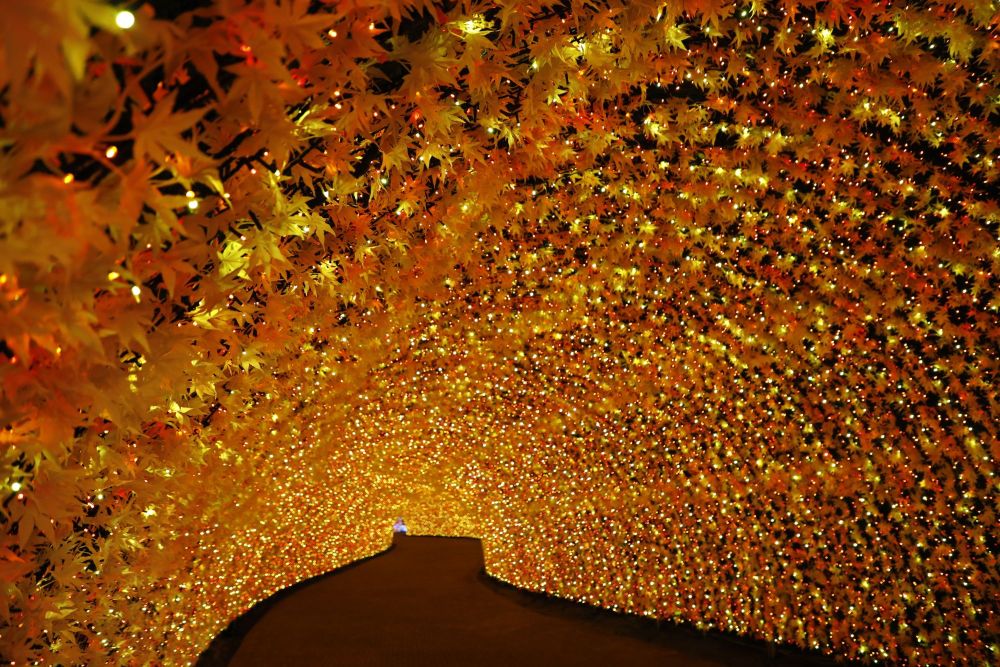 Weihnachten - Illuminations in Japan