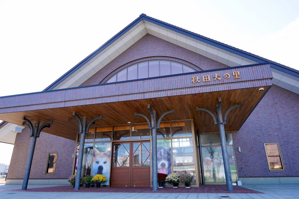 Akita Inu no Sato, Akita Dog Visitor Center