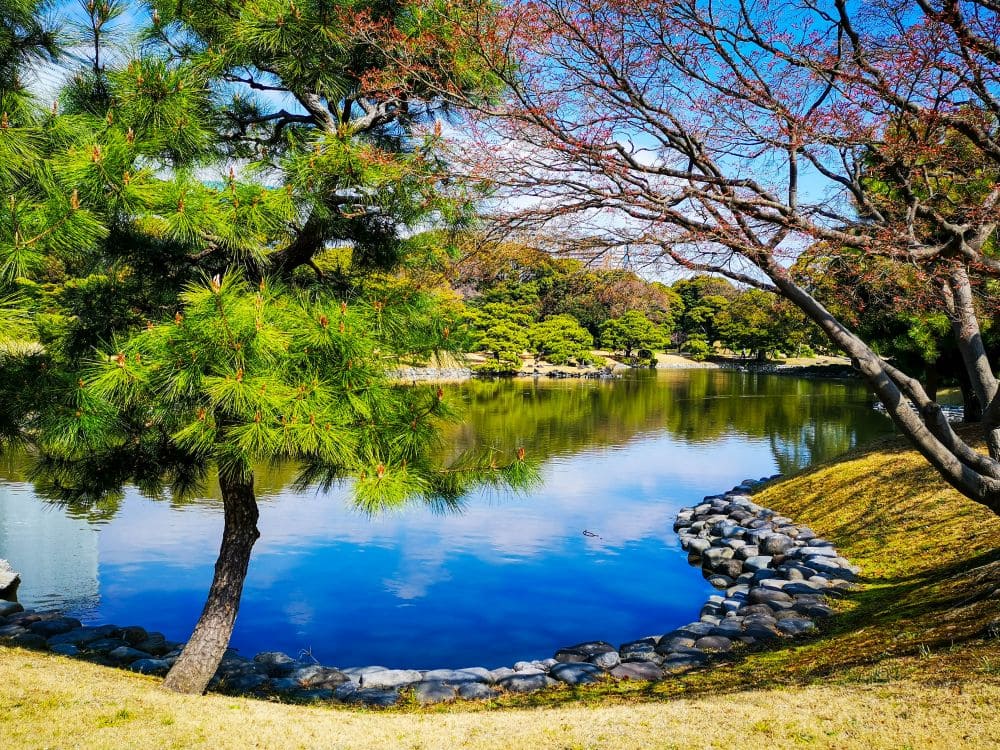 1 Landschaft - Park in Tokio