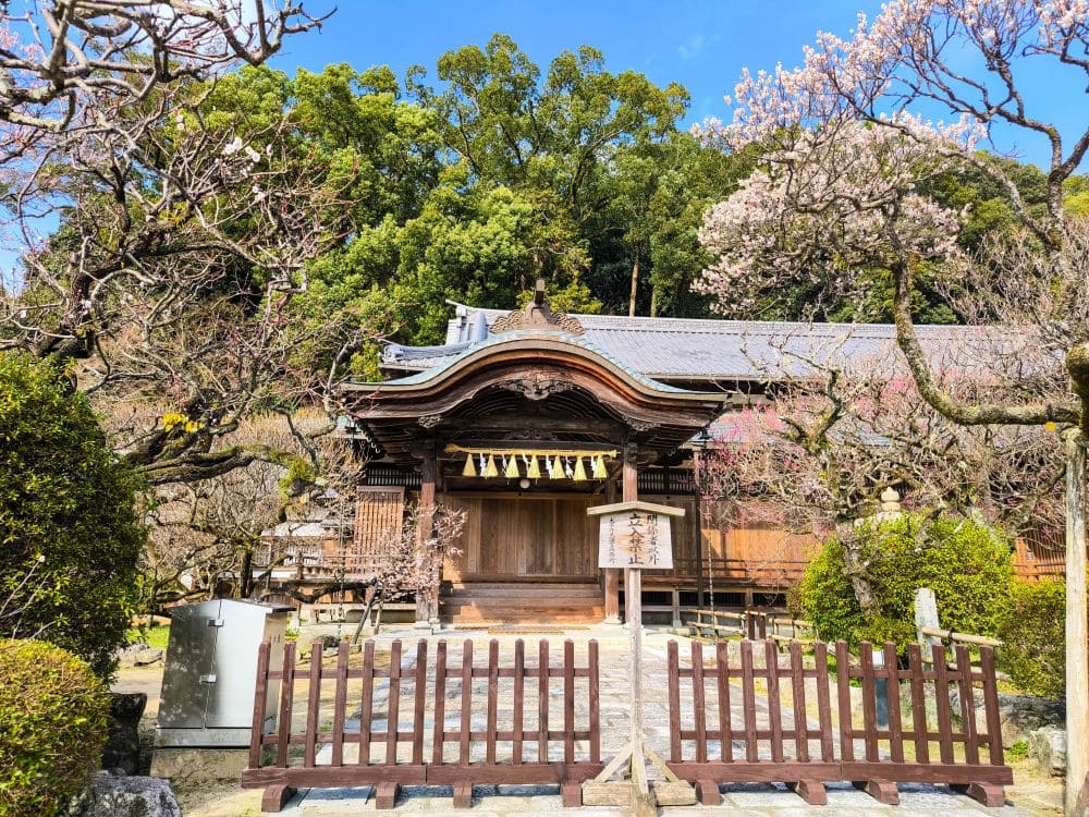 Ein Besuch im Dazaifu Tenmagu