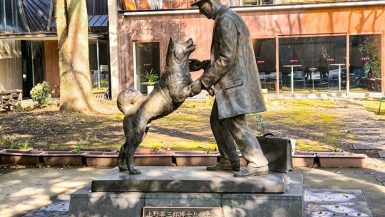 Hachiko - auf der Suche nach dem treusten Hund Japans