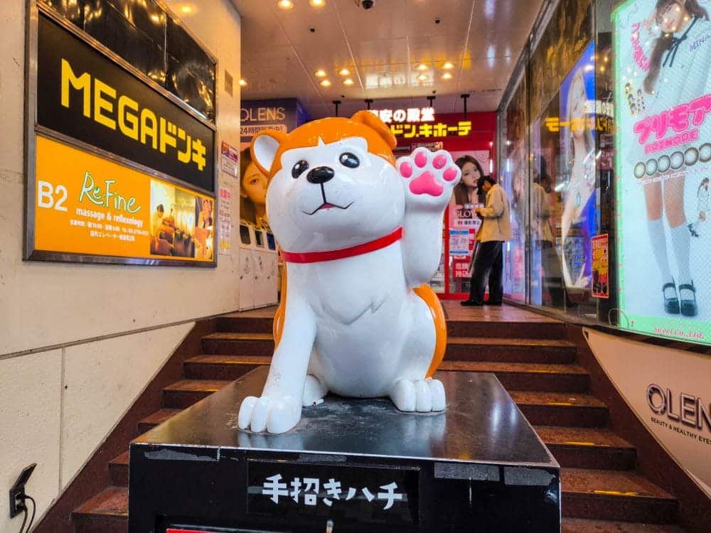 Hachiko in der Popkultur