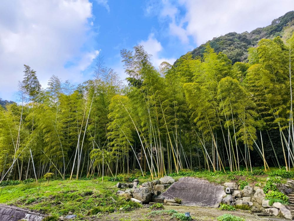 Natur pur im Sengan-en Garten in Kagoshima