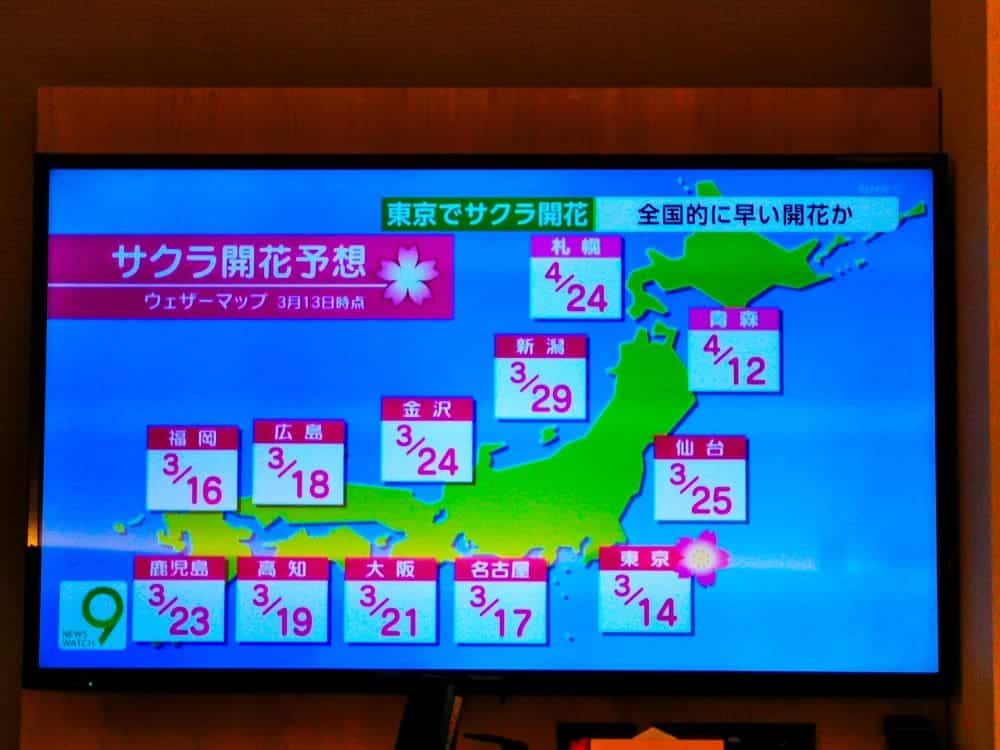 Auf dem Fernsehbildschirm wird eine lebendige Karte Japans angezeigt, auf der die Kirschblüten-Vorhersagetermine für verschiedene Städte hervorgehoben sind. Jede Stadt ist mit einem rosa Kästchen markiert, das die jeweiligen Daten im März und April anzeigt. Oben und unten sind japanische Texte zu sehen.