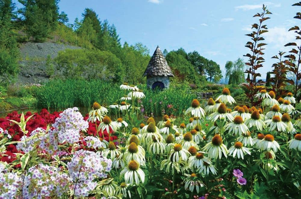 Ein lebendiger Garten in Hokkaido mit blühenden weißen und violetten Blumen im Vordergrund, roten Blumen zur Linken, üppigem Grün und einer kleinen runden Steinhütte mit kegelförmigem Dach im Hintergrund unter blauem Himmel.