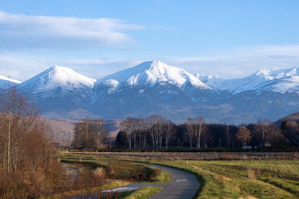 Eine kurvenreiche, gepflasterte Straße in Hokkaido führt durch grasbewachsene Felder zu entfernten schneebedeckten Bergen unter einem teilweise bewölkten blauen Himmel, mit kahlen Bäumen und ein paar Gebäuden am Straßenrand.