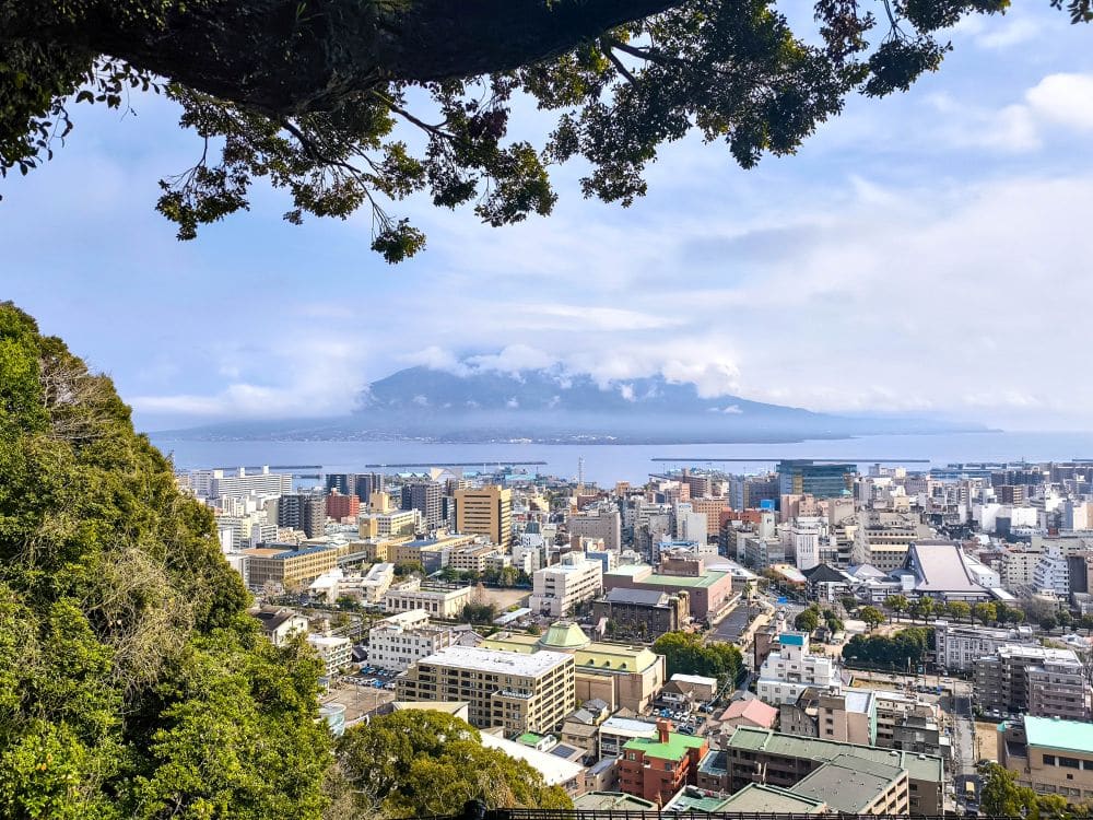 Blick auf Kagoshima von der Aussichtsplattform des Shiroyama-Parks, mit Gebäuden und Grünflächen im Vordergrund, einem großen Baumzweig darüber und dem Vulkan Sakurajima, der über dem Wasser teilweise in Wolken gehüllt ist.