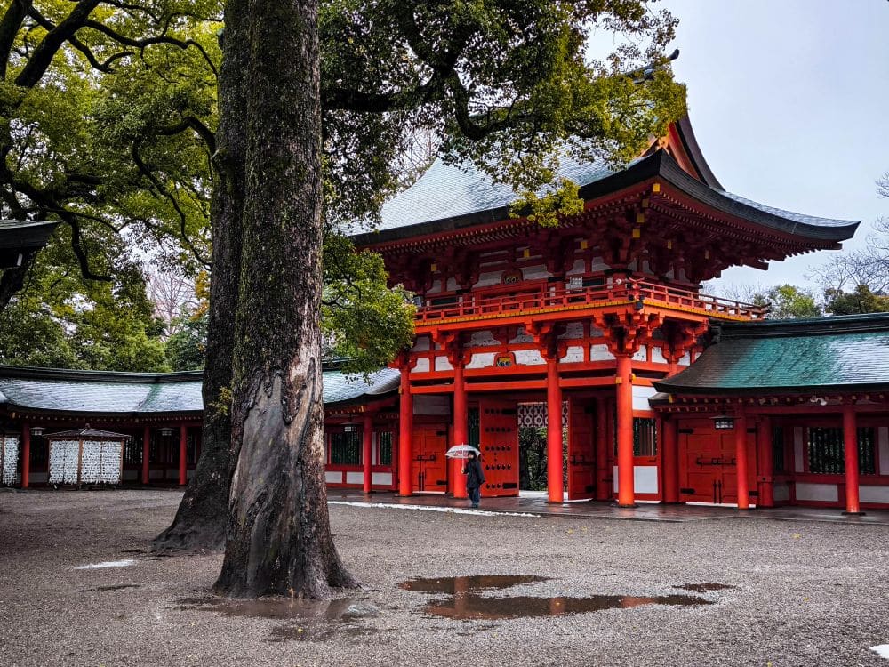 Eine Person steht an einem bedeckten Tag vor dem traditionellen rot-weißen Tor des Hikawa-Schreins, umgeben von Bäumen und feuchtem Boden mit einer kleinen Pfütze.