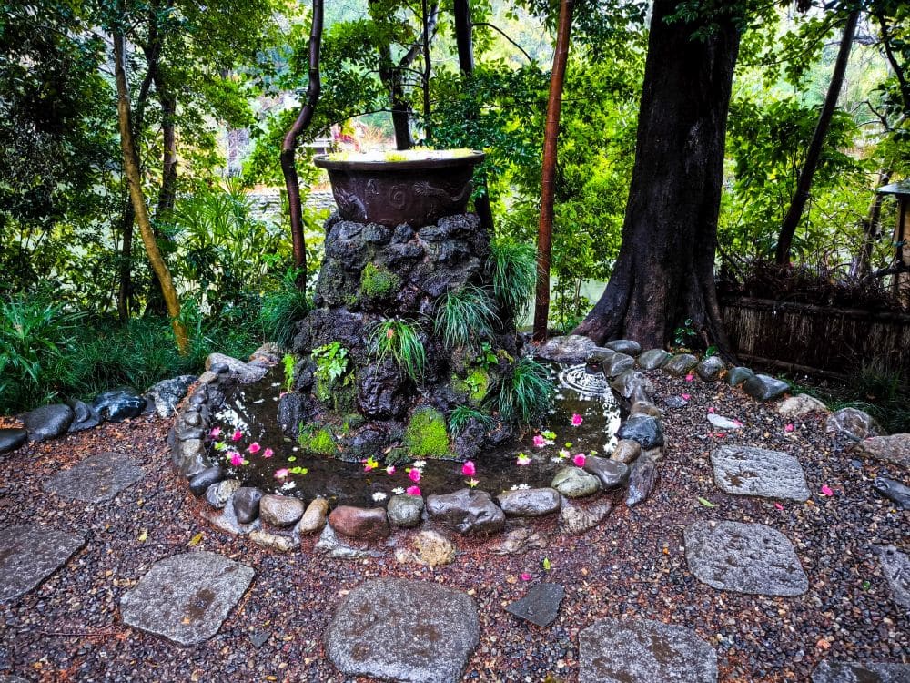 Ein kleiner steinerner Hikawa-Wasserbrunnen ist von Felsen, Moos und Grünpflanzen umgeben, mit verstreuten rosa Blütenblättern auf dem Boden und im Wasser. Bäume und üppiges Grün füllen den Hintergrund, und nasse Pflastersteine bilden einen Weg um den Brunnen.