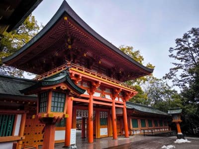 Ein leuchtend rotes und grünes Hikawa-Tempeltor mit kunstvollen Holzdetails hebt sich vor dem Hintergrund von Bäumen und einem bedeckten Himmel ab.