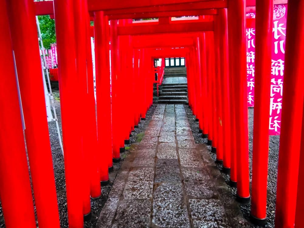 Ein mit leuchtend roten Hikawa-Torii gesäumter Weg führt zu einer Steintreppe, die mit Steinplatten gepflastert ist und an deren Seite rosa Banner mit japanischer Schrift zu sehen sind.