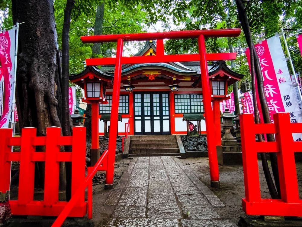 Ein leuchtend rotes Torii-Tor und ein Zaun führen zum traditionellen Hikawa-Schrein, der von üppigen Bäumen umgeben ist, mit weißen und rosafarbenen Bannern und Steinlaternen auf beiden Seiten der Eingangstreppe.