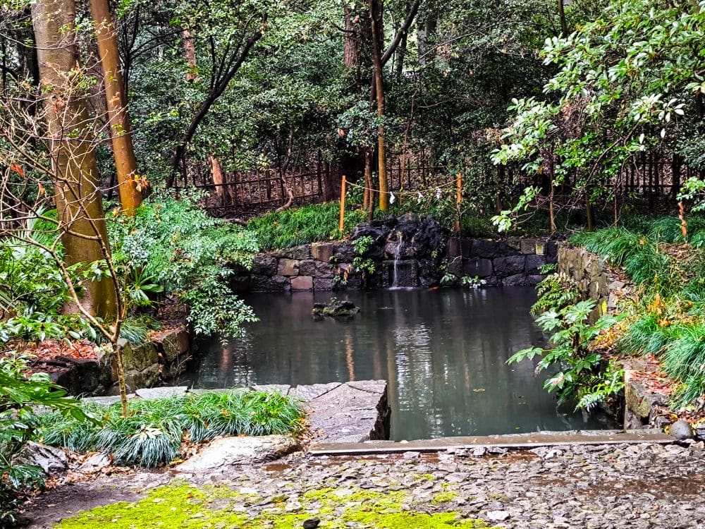 Ein kleiner, ruhiger Teich mit einer Steinplattform und einem sanften Wasserfall schafft eine friedliche Gartenumgebung. Im Vordergrund sind Moos und nasse Steine zu sehen, während üppiges Grün und Bäume den ruhigen Geist von Hikawa heraufbeschwören.