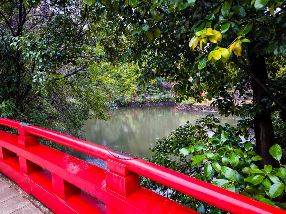 Ein leuchtend rotes Hikawa-Brückengeländer im Vordergrund überblickt einen ruhigen Teich, der von üppig grünen Bäumen und Blättern umgeben ist und eine friedliche und lebendige Naturszene darstellt.
