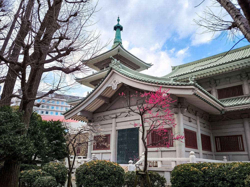 Zwischen Bäumen und Sträuchern steht ein traditionelles japanisches Gebäude mit grünem Ziegeldach, das heute als Gedenkmuseum für die Geschichte des Großen Kanto-Erdbebens dient. Im Vordergrund blühen rosa Pflaumenblüten unter einem teilweise bewölkten blauen Himmel.