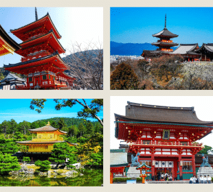 Eine Collage aus vier Fotos, die traditionelle japanische Tempel zeigen: rote Pagoden, einen goldenen Pavillon an einem Teich und ein großes rotes Schreintor mit Besuchern unter einem verzierten Dach.
