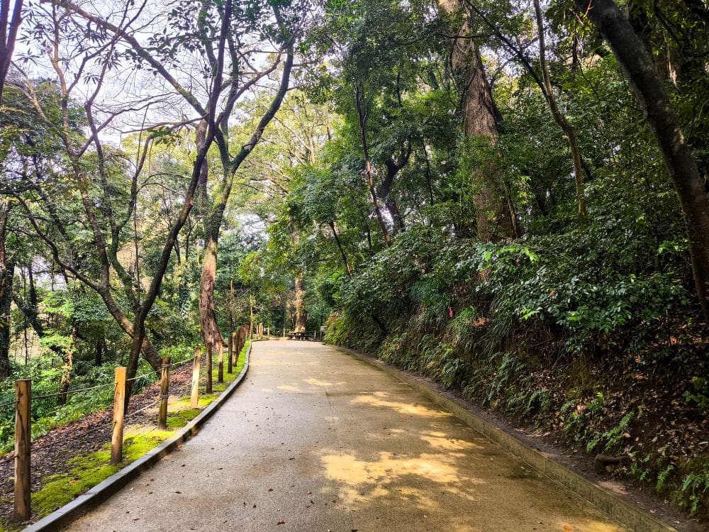Ein gepflasterter Weg schlängelt sich durch einen üppigen, grünen Wald in der Nähe der Aussichtsplattform des Shiroyama-Parks in Kagoshima, wobei das Sonnenlicht durch das Laub filtert und Holzgeländer Teile des Weges säumen. In der Ferne ist der Vulkan Sakurajima zu sehen.