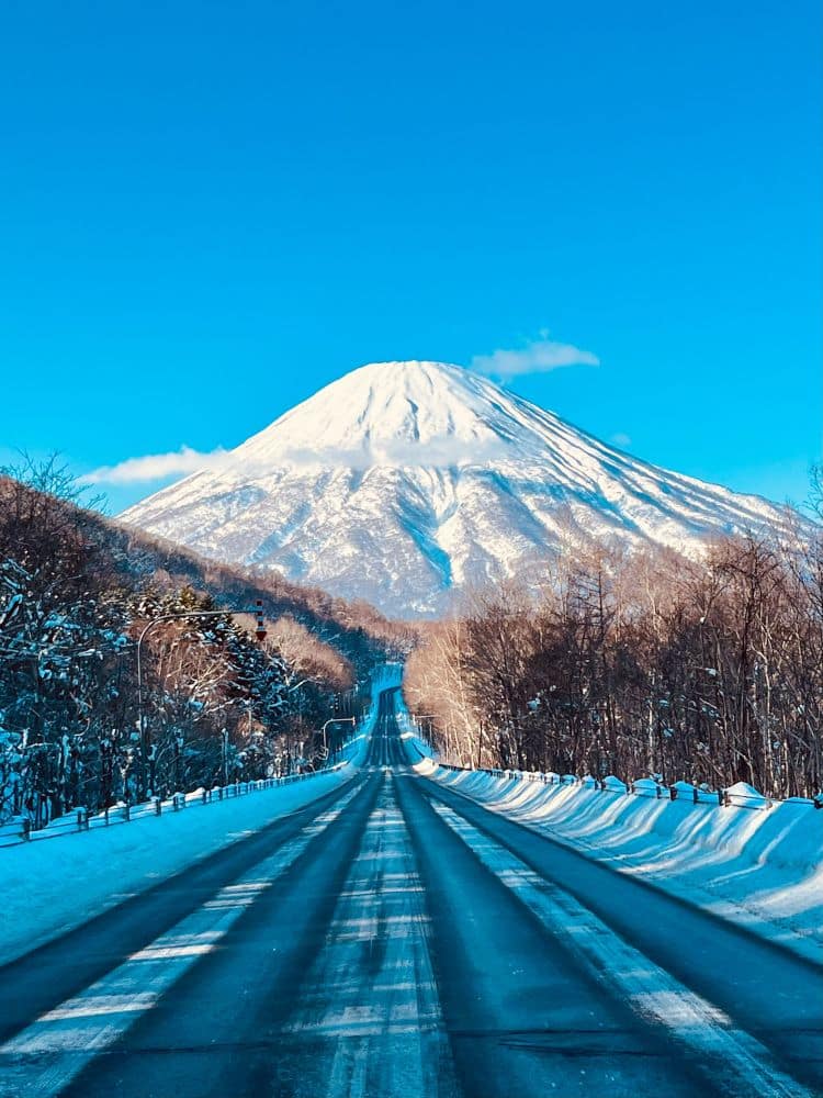 Eine gerade, schneebedeckte Straße in Hokkaido führt zu einem entfernten, schneebedeckten Berg unter einem klaren blauen Himmel, mit kahlen Bäumen zu beiden Seiten der Straße.