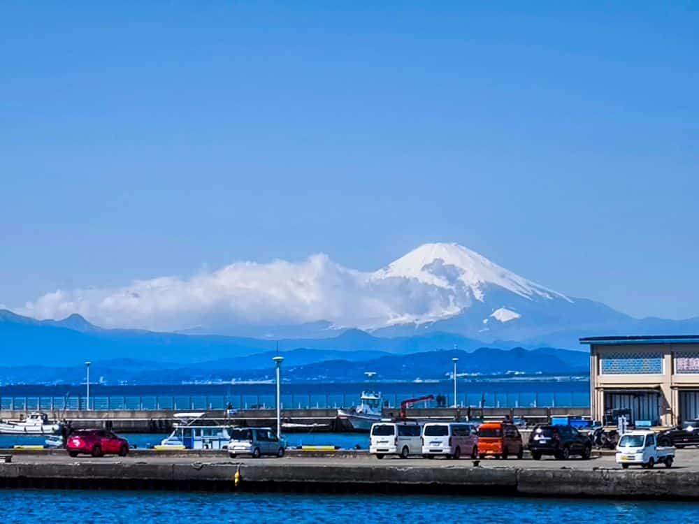 Der Berg Fuji mit seiner schneebedeckten Spitze erhebt sich im Hintergrund unter einem klaren blauen Himmel, während im Vordergrund entlang der Uferpromenade von Enoshima an einem ruhigen Gewässer Fahrzeuge geparkt sind.