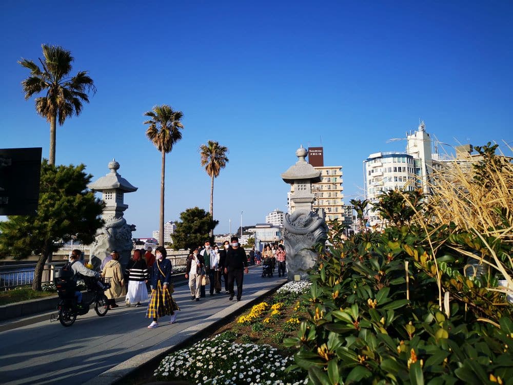 In der Nähe von Enoshima spazieren und fahren Menschen mit dem Fahrrad einen sonnigen Uferweg entlang, der von Palmen, Blumen und großen Steinlaternen gesäumt ist, mit modernen Gebäuden im Hintergrund unter einem klaren blauen Himmel.
