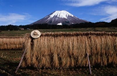 Ein Strohhut liegt auf einem Gestell mit getrocknetem Reis auf einem Feld in Tottori, mit einem schneebedeckten Berg im Hintergrund und einem blauen Himmel, der von vereinzelten Wolken übersät ist.