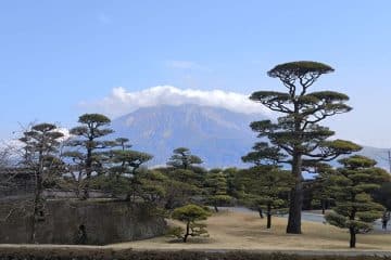 Sorgfältig beschnittene Bäume in einem japanischen Garten mit einer Steinmauer im Vordergrund und dem entfernten Vulkan von Kagoshima, der teilweise von Wolken bedeckt ist, unter einem blauen Himmel - eine inspirierende Szene aus Geführte Ausflüge Kagoshima.