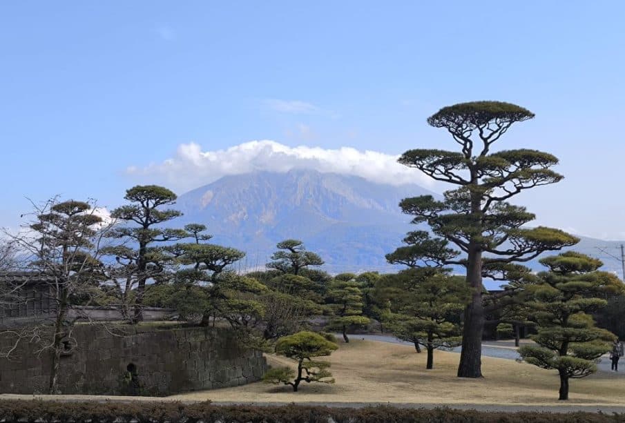 Sorgfältig beschnittene Bäume in einem japanischen Garten mit einer Steinmauer im Vordergrund und dem entfernten Vulkan von Kagoshima, der teilweise von Wolken bedeckt ist, unter einem blauen Himmel - eine inspirierende Szene aus Geführte Ausflüge Kagoshima.