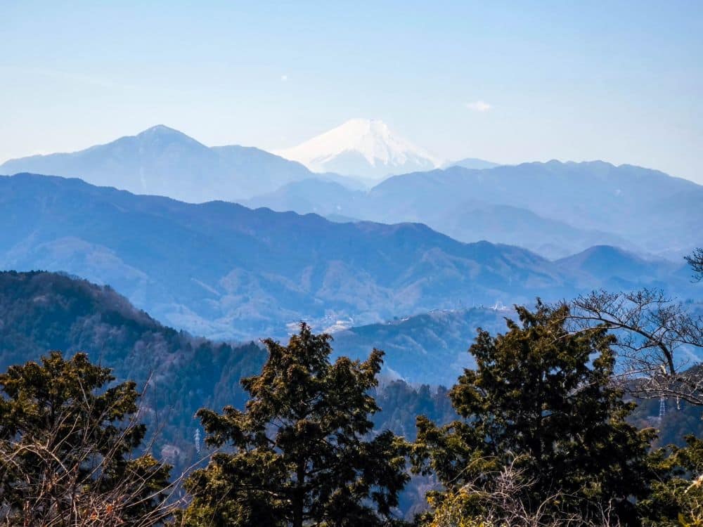 Der schneebedeckte Berg Fuji erhebt sich in der Ferne hinter blauen Bergen und baumbewachsenen Hügeln unter einem klaren Himmel, wobei die immergrünen Bäume von Takao den Vordergrund zieren.