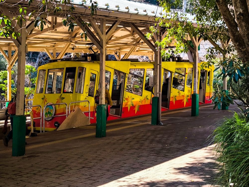 Eine leuchtend gelbe und rote, mit Sternmotiven verzierte Takao-Seilbahn steht an einem schattigen, von Grün umgebenen hölzernen Bahnsteig.