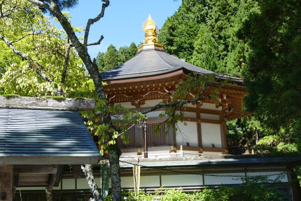 Ein traditioneller japanischer Tempel mit einem goldenen Mond-Ornament auf dem Dach ist von üppig grünen Bäumen unter einem klaren blauen Himmel umgeben. Das Sonnenlicht scheint auf die Holzkonstruktion und das Blattwerk.