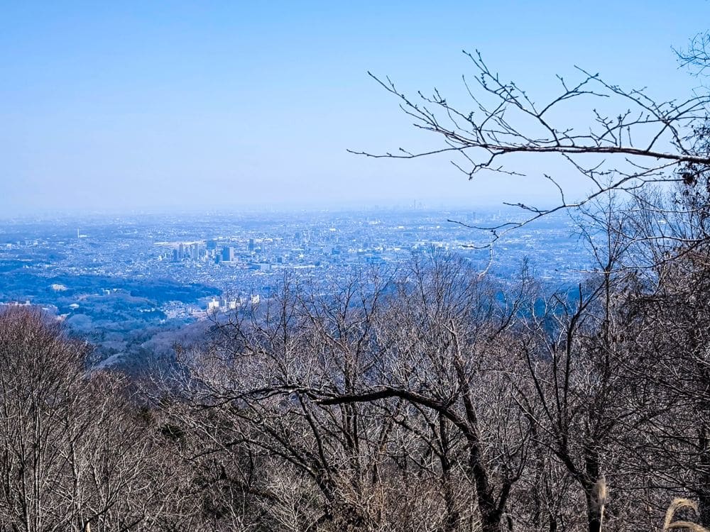 Blick von einem Hügel in Takao mit kahlen Baumzweigen im Vordergrund, mit Blick auf eine sich ausbreitende Stadt unter einem klaren blauen Himmel, wobei die entfernten Gebäude und die Landschaft am Horizont verschwinden.