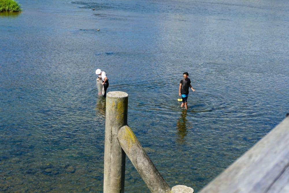 Zwei Personen stehen im flachen, klaren Wasser in der Nähe des Ufers in Arashiyama. Die eine trägt einen weißen Hut und angelt, während die andere in der Nähe spazieren geht. Im Vordergrund sind Holzpfosten und ein Geländer zu sehen.