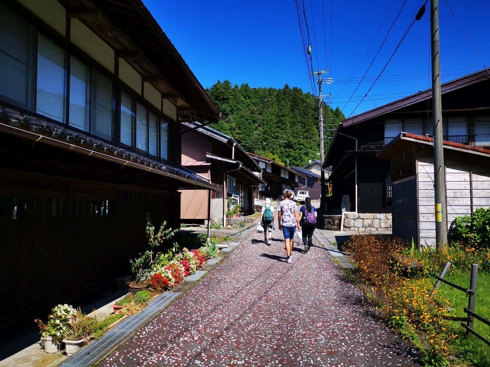 Ein Reiseleiter führt eine Gruppe von Menschen durch eine ruhige Straße, die von traditionellen japanischen Häusern, bunten Blumen und herabgefallenen Blütenblättern gesäumt ist, mit grünen Bäumen und einem strahlend blauen Himmel im Hintergrund.