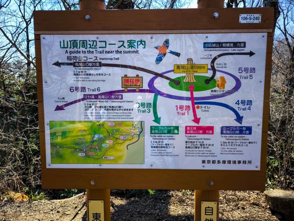 Wanderwegweiser für Takao in Japanisch und Englisch, der mehrere farblich gekennzeichnete Wanderwege in der Nähe des Gipfels zeigt, mit Pfeilen, Richtungen, Sehenswürdigkeiten, illustrierten Vögeln und einer kleinen Karte unten links. Holzrahmen vor einem Waldhintergrund.