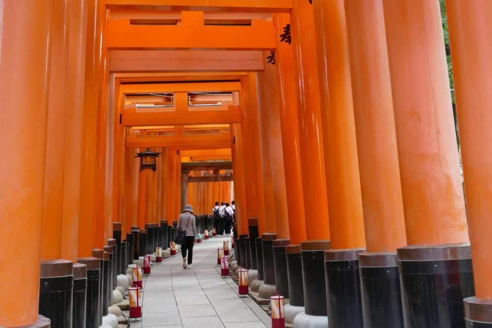 Geführt von einem sachkundigen Tourguide gehen die Besucher durch einen Tunnel aus leuchtend orangefarbenen Torii-Toren am Fushimi Inari-Schrein in Kyoto, Japan. Laternen säumen den Weg, während die Tore ein faszinierendes, sich wiederholendes bogenförmiges Muster bilden.