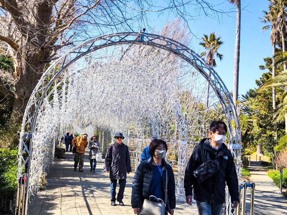 Maskierte Menschen gehen an einem sonnigen Tag durch einen mit Lichterketten geschmückten Tunnel in einem Park in der Nähe der Enoshima-Meereskerze, mit blattlosen Bäumen und Palmen im Hintergrund.
