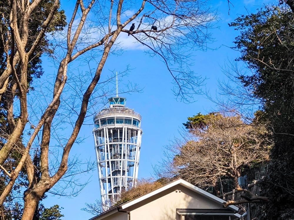 Ein hoher Aussichtsturm, die Enoshima-Meereskerze, erhebt sich über Bäumen und einem weißen Gebäude unter einem klaren blauen Himmel, eingerahmt von kahlen Ästen und grünem Laub.