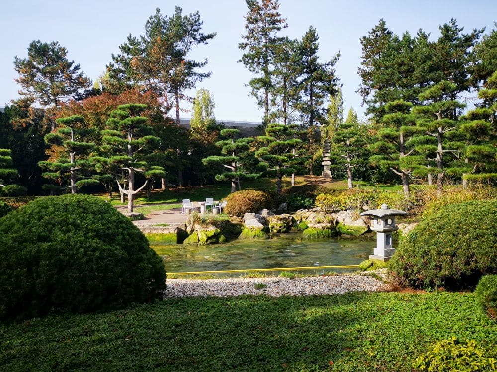 Ein friedlicher Japanischer Garten im Nordpark Düsseldorf mit gepflegten Bäumen, einem kleinen Teich, einer Steinlaterne und weißen Tischen und Stühlen im Freien im Schatten von Kiefern schafft an einem sonnigen Tag eine heitere japanische Atmosphäre.
