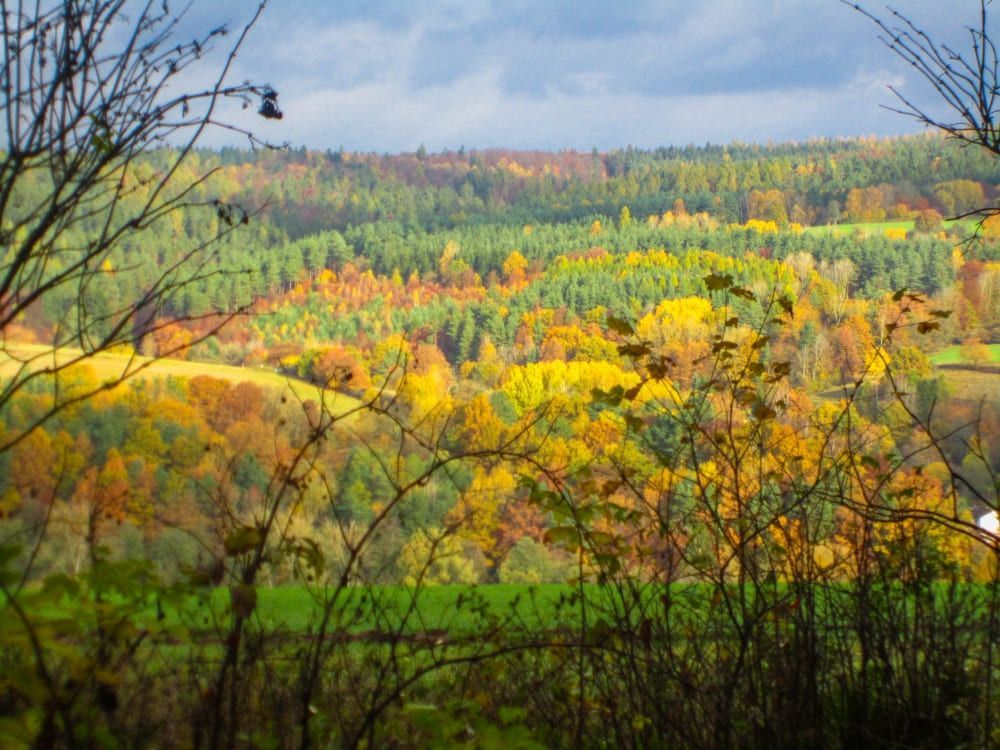 Eine malerische Landschaft mit sanften Hügeln, die mit leuchtendem Herbstlaub in Grün-, Gelb-, Orange- und Rottönen bedeckt sind, eingerahmt von Baumzweigen im Vordergrund und einem teilweise bewölkten Himmel.