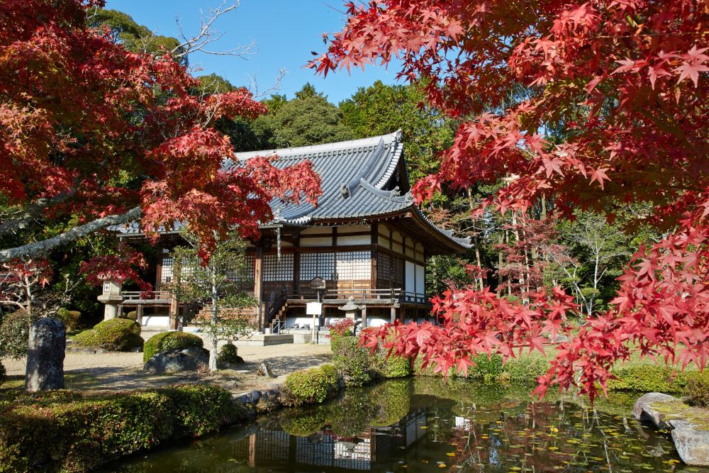 Ein traditionelles japanisches Holzgebäude steht neben einem Teich, umgeben von leuchtend roten Ahornbäumen im Herbstlaub und üppigem Grün unter einem klaren Himmel.