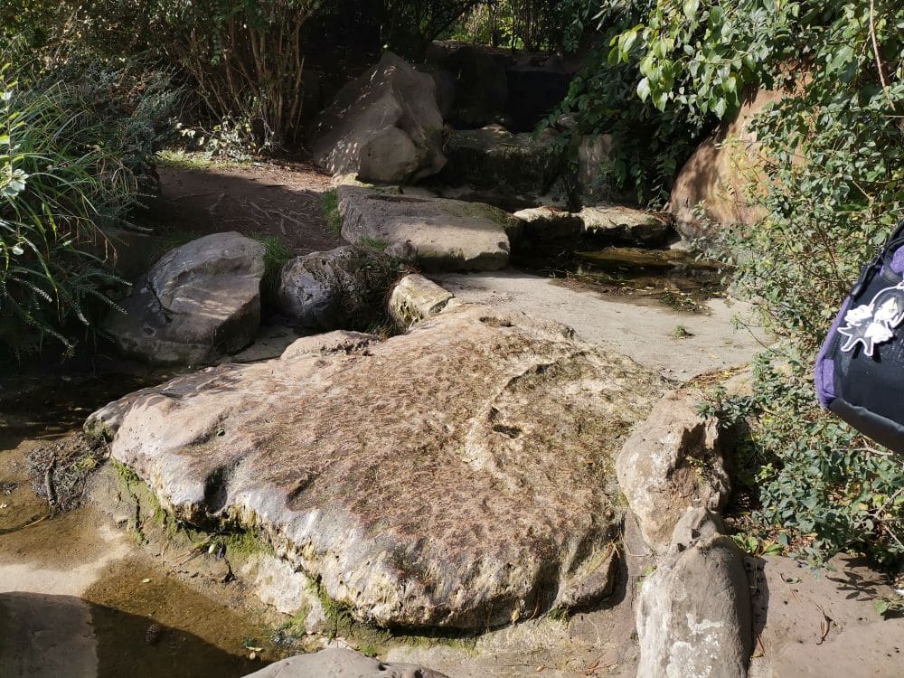 Große flache Felsen und Felsblöcke mit Moos und Grün, umgeben von belaubten Sträuchern; ein kleiner Bach fließt durch die Felsen und ruft eine japanische Atmosphäre hervor, die an den Japanischen Garten im Nordpark Düsseldorf erinnert. Eine Tasche mit einem Aufnäher mit Totenkopf ist zu sehen.