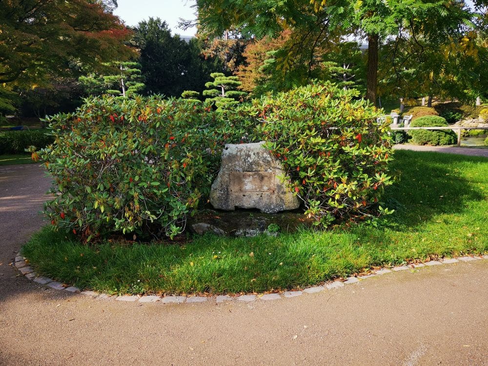 Auf einer Rasenfläche im Düsseldorfer Nordpark, die von einem geschwungenen Weg begrenzt und von Bäumen und beschnittenen Sträuchern umgeben ist, liegt ein großer Stein, der teilweise von grünen Büschen verdeckt wird und eine japanische Atmosphäre hervorruft.