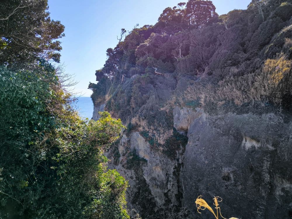 Steiler, mit dichter grüner Vegetation bewachsener Felsen, lokal als Daishi bekannt, mit Blick auf das Meer, wobei das Sonnenlicht einen Teil der Szene beleuchtet und einige Bereiche in den Schatten wirft.