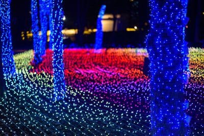 Bäume, die mit blauen Lichterketten umwickelt sind, stehen inmitten eines Feldes aus leuchtenden, mehrfarbigen Lichtern, die in Mustern auf dem Boden angeordnet sind. So entsteht eine lebendige, festliche Winterszene bei Nacht, die von den magischen Illuminationen in Kyoto inspiriert ist.
