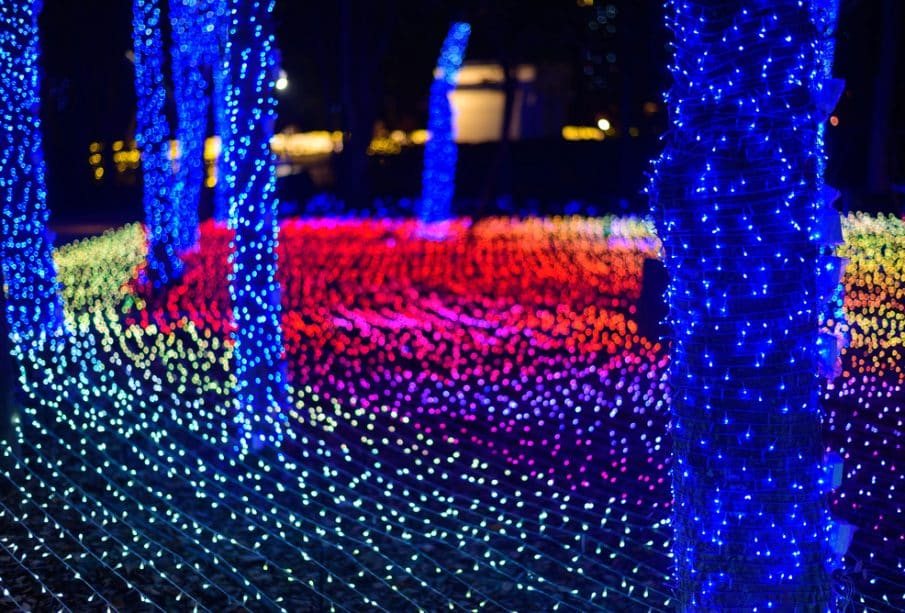 Bäume, die mit blauen Lichterketten umwickelt sind, stehen inmitten eines Feldes aus leuchtenden, mehrfarbigen Lichtern, die in Mustern auf dem Boden angeordnet sind. So entsteht eine lebendige, festliche Winterszene bei Nacht, die von den magischen Illuminationen in Kyoto inspiriert ist.