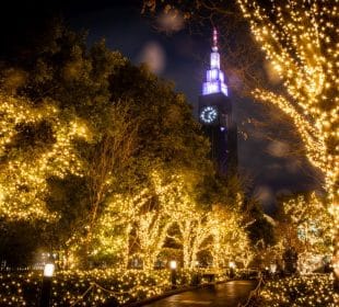 Eine nächtliche Szene mit Bäumen, die mit goldenen Illuminationen geschmückt sind und einen Weg säumen, während im Hintergrund ein hoher Uhrenturm in Lila und Weiß leuchtet. Lichtreflexe und Regentropfen tragen zu dem verträumten Effekt bei.