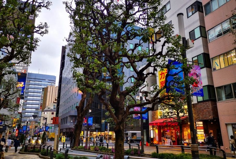 Eine belebte Straße in Ikebukuro, Japan, mit modernen Gebäuden, bunten Schildern und beleuchteten Schaufenstern. Bäume säumen den Bürgersteig, während die Menschen flanieren und an einem bewölkten Tag die Anime-Kultur und den urbanen Charme in sich aufsaugen.